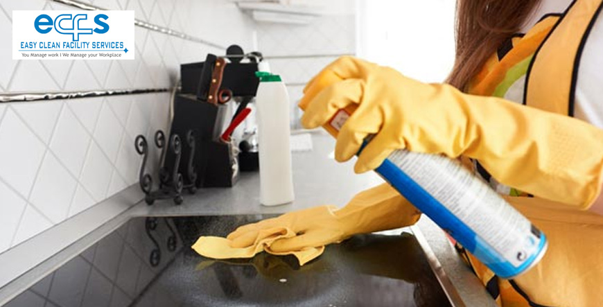 House Cleaning